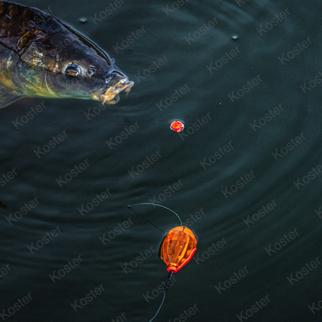 Surface Bomb-Fluoro Surface Bomb-Fluoro