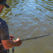 Ignition Pellet Waggler 11 ft 3.30 mtr.