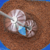 Stainless Steel Whisk