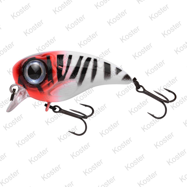 Fat Iris  Redhead Tiger 4 Cm. 5.3 Gram. Fat Iris  Redhead Tiger 4 Cm. 5.3 Gram.
