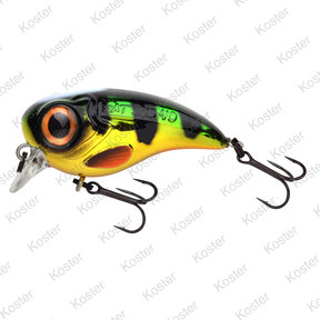 Fat Iris  Perch 4 Cm. 5.3 Gram.