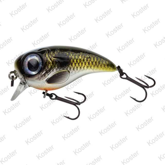 Fat Iris  Shad 4 Cm. 5.3 Gram. Fat Iris  Shad 4 Cm. 5.3 Gram.