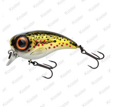 Fat Iris  Brown Trout 4 Cm. 5.3 Gram.