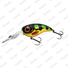 Fat Iris Dr  Perch 4 Cm. 6.2 Gram.