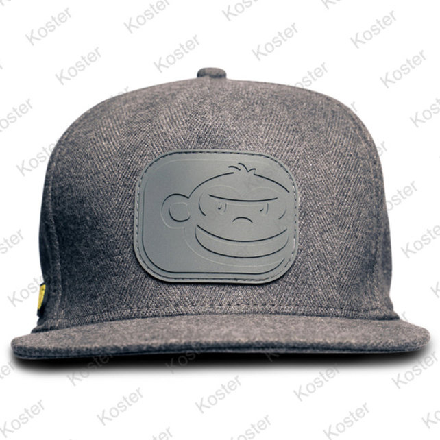 APEarel Dropback Snapback Grey