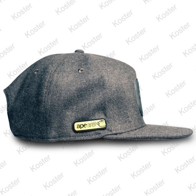 APEarel Dropback Snapback Grey