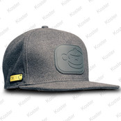 APEarel Dropback Snapback Grey