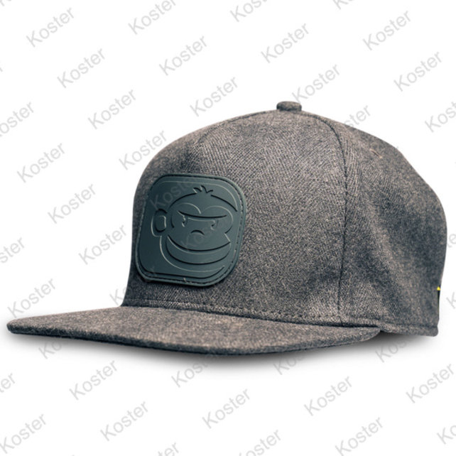 APEarel Dropback Snapback Grey