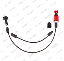 Gizmo Litez Bob Red