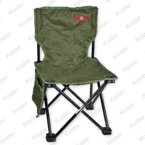 Foldable Chair