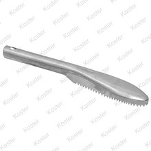 Fish Scaler 22 Cm