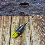 Anker Klaplood Speciaal 110 Gram (Geel)