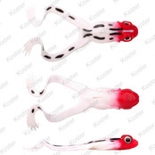 Iris The Frog 10Cm Redhead