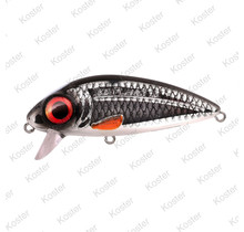 Iris Flanky Hardlure Roach 9cm 20gr