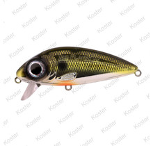 Iris Flanky Hardlure Shad 9cm 20gr