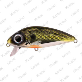 Iris Flanky Hardlure Shad 9cm 20gr