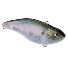 Aruku Shad 75 Spooky Shad