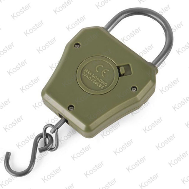 Compact Digital Scales