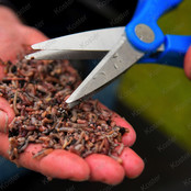 Double Blade Wormchopper