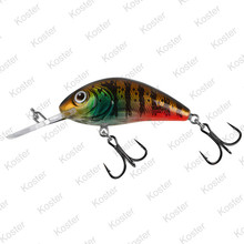 Rattlin Hornet Hot Gill Clear Floating 5,5cm