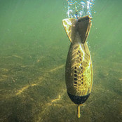 Bopper - XL Bopper - XL