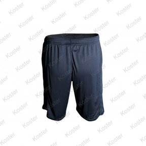 APEarel CoolTech Shorts Grey