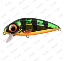 Iris Flanky Perch 7,5CM - 13G