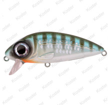 Iris Flanky Herring 7,5CM - 13G