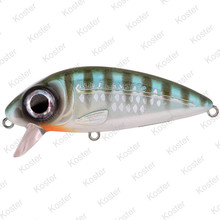 Iris Flanky Herring 7,5CM - 13G