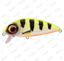 Iris Flanky Hot Perch 7,5CM - 13G