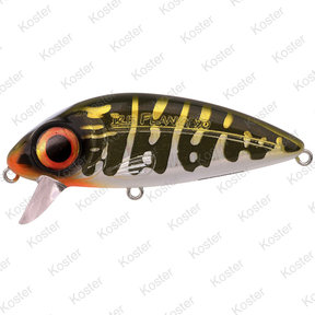 Iris Flanky Nort. Pike 7,5CM - 13G