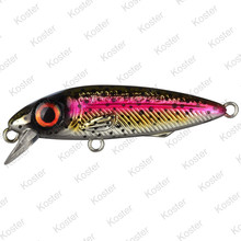 Iris The Kid Rainbow Trout 4.8CM - 6G