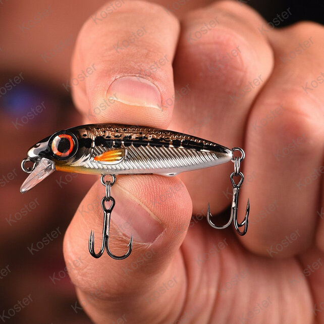 Iris The Kid Firetiger 4.8CM - 6G