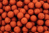 Boillie Berries 15mm 1kg