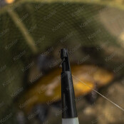 Disgorger - Specimen (Hakensteker)