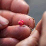 Band'um Wafter Krill&Squid - Micro