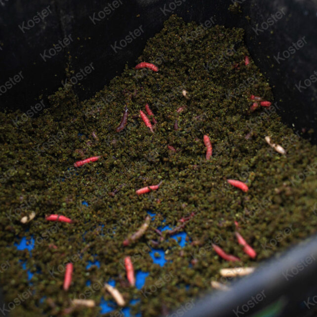 Thatchers Green Groundbait Thatchers Green Groundbait