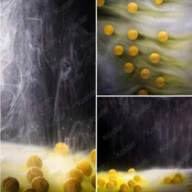 Smart Liquid - Cream