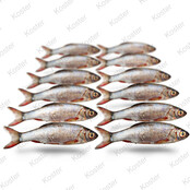 Dood Aas Zilverwinde Small