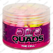 Quads Pop-Up 10mm - Cell Quads Pop-Up 10mm - Cell