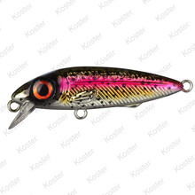 Iris The Kid 5.8cm 8 Gram - R.Trout