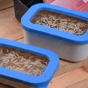 Baitbox White Open Lid 0.25 Liter