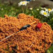 Salted Caramel Groundbait