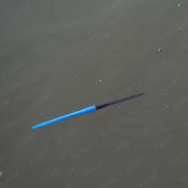 Floater Disgorger / Baiting Needle Floater Disgorger / Baiting Needle
