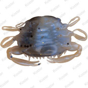 Gulp! Peeler Crab - Molting