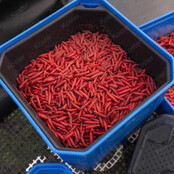 Maggot Riddle 1.2 Liter - 2 Pint Maggot Riddle 1.2 Liter - 2 Pint