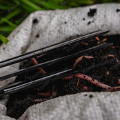 Wormchopperz Wormchopperz