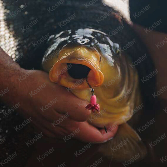 Carp Ready Rigs Fluoro D Rig