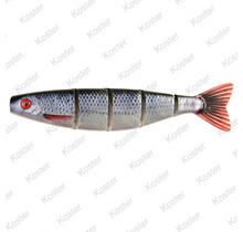 Pro Shad Jointed 23cm - Roach