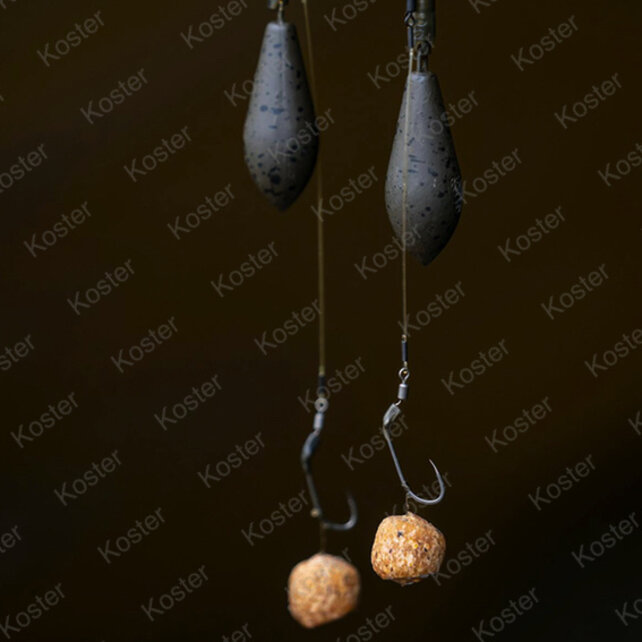 Longshank Beaked Longshank Beaked